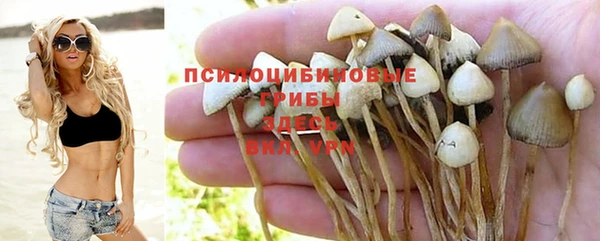амфетамин Пестово