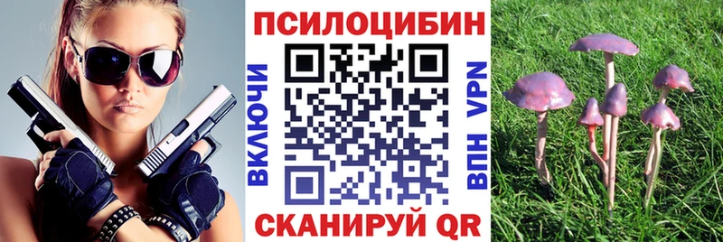 цены   Покров  Псилоцибиновые грибы GOLDEN TEACHER 
